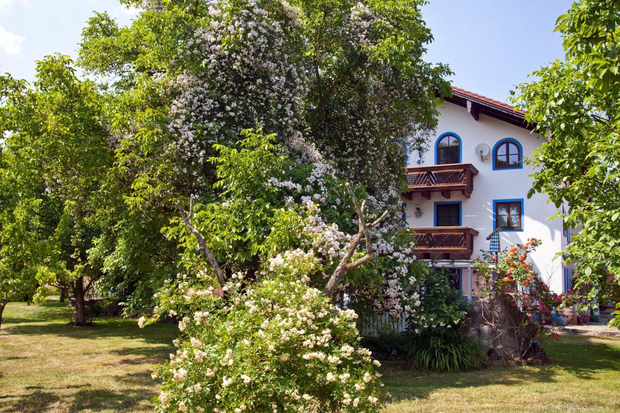 Ferienwohnung Moierhof Palling Exterior photo